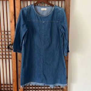 Madewell denim dress